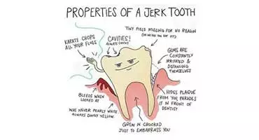 Why should I visit the dentist regularly?